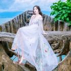 3/4-sleeve Embroidered A-line Maxi Sheer Dress