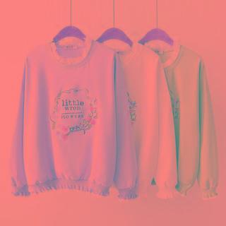 Ruffle Trim Embroidered Sweatshirt