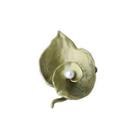 Elegant And Simple Enamel Green Geranium Freshwater Pearl Brooch Silver - One Size