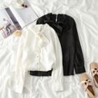 Tie-neck Long-sleeve Satin Blouse