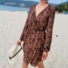 Leopard Print Long-sleeve A-line Dress