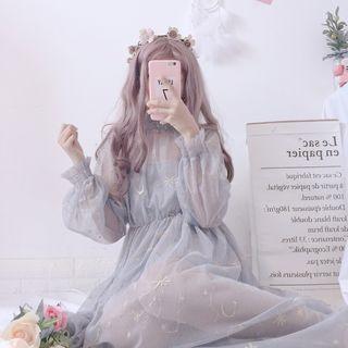 Set: Long-sleeve Sheer Embroidered A-line Midi Dress + Slipdress