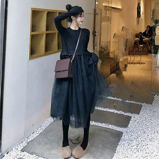 Plain Mesh Long-sleeve Dress Black - One Size