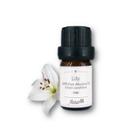 Aster Aroma - 100% Pure Absolute Oil Lily Lilium Candidum 5ml