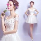 Lace Mini Prom Dress