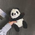 Panda Crossbody Bag As Shown In Figure - One Size