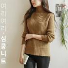 Mock Turtle-neck Ribbed Knit Top
