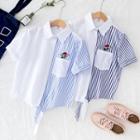 Embroidered Pinstripe Panel Short-sleeve Blouse