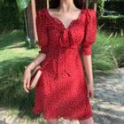 Dot Puff-sleeve Dress