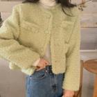 Plain Fleece Cropped Jacket Light Grass Green - One Size