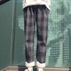 Plaid Cropped Pants Gingham - Black - One Size