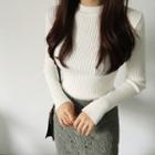 Crew-neck Long-sleeve Slim-fit Ribbed Knit Top