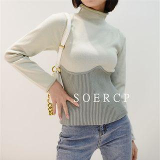 Turtleneck Two-tone Panel Knit Top