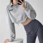 Drawstring-hem Cropped Polo Sweatshirt In 5 Colors