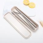 Set Of 5: Stainless Steel Drinking Straw + Cleaning Brush + Case Set Of 5 - Beige & Silver - One Size