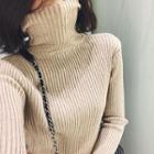 Plain Slim-fit Turtle-neck Long-sleeve Knit Dress