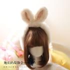 Rabbit Ear Earmuffs