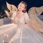 Set: Short-sleeve Wedding Ball Gown + Veil (various Designs)
