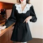 Lace Collar Double Breasted Coatdress