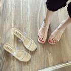 Transparent Low Heel Slide Sandals