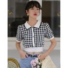 Short-sleeve Plaid Polo Knit Top As Shown In Figure - One Size