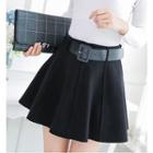 Plain Panel A-line Skirt