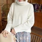 Turtle-neck Loose-fit Sweater In 10 Colors
