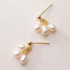Faux Pearl Drop Earring 1 Pair - S925 Silver - One Size