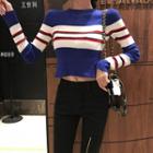 Long-sleeve Striped Cropped Knit Top Blue - One Size