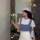 Short-sleeve T-shirt / Sleeveless Denim Top / Pleated Skirt