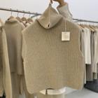 Turtleneck Cropped Sweater Vest