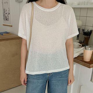 Plus Size Plain Sheer T-shirt