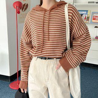 Oversized Stripe Knit Hoodie