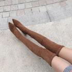 Elastic Genuine Suede Pointed Toe Over-the-knee Boots