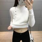 Fleece Lined Mock-turtleneck Knit Top