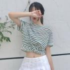 Cropped Striped Short-sleeve T-shirt