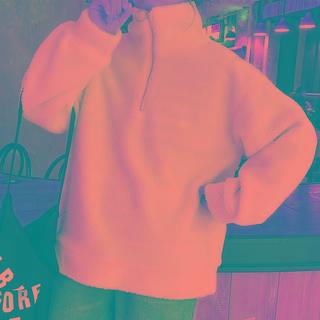 Stand Collar Faux Shearling Sweatshirt