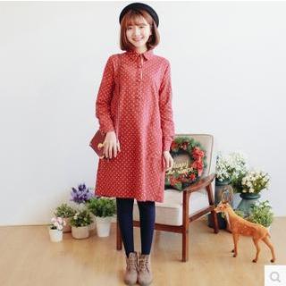 Print Shirtdress