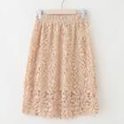 A-line Crochet Lace Skirt