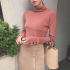 Long-sleeve Turtle-neck Top