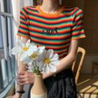 Short-sleeve Embroidered Striped Knit Top Stripe - Multicolour - One Size