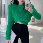 Details Furry-knit Cropped Sweater