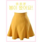 A-line Mini Flare Skirt