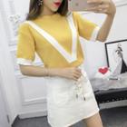 Color Panel Pullover Short Sleeve Knit Top