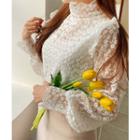 Frill-trim Sheer Lace Blouse White - One Size