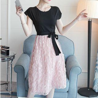 Cap-sleeve A-line Lace Panel Dress