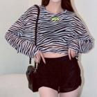 Set: Swim Top + Shorts + Long-sleeve Top