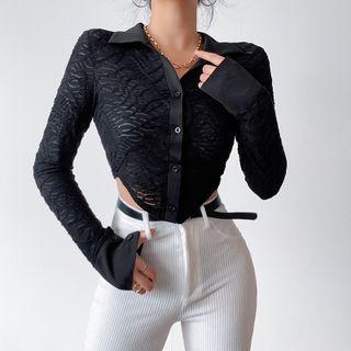 Plain V Neck Long Sleeve Cropped Top