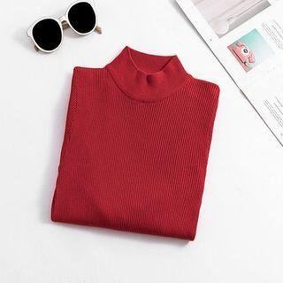 Semi Turtleneck Plain Ribbed Slim Fit Knit Top