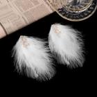 Feather Drop Earring 1 Pair - F488 - As Shown In Figure - One Size